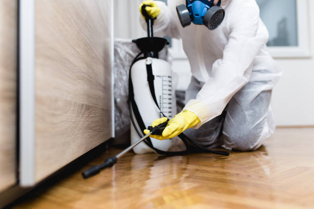 Best Rat Extermination Near Me  in Canton, GA