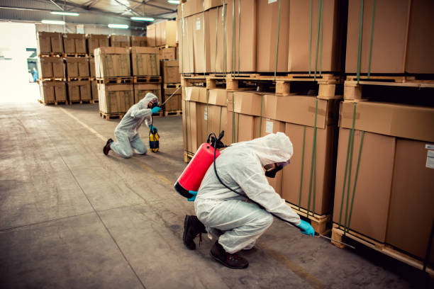 Best Pest Control Cost  in Canton, GA
