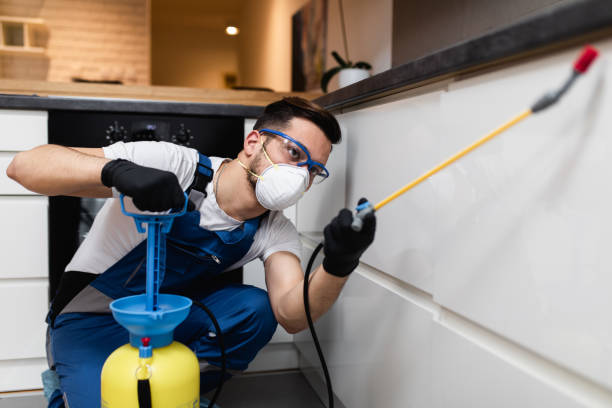 Trusted Canton, GA Pest Control Experts