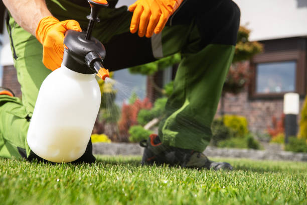 Best Affordable Pest Control Services  in Canton, GA