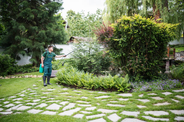 Best Residential Pest Control  in Canton, GA