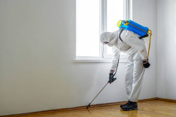 Best Wildlife Control Services  in Canton, GA