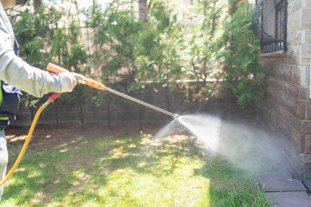 Wasp Removal Services in Canton, GA