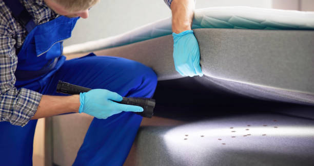 Best Exterminator Services  in Canton, GA