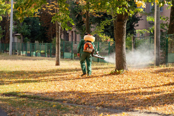Best Pest Removal Services  in Canton, GA