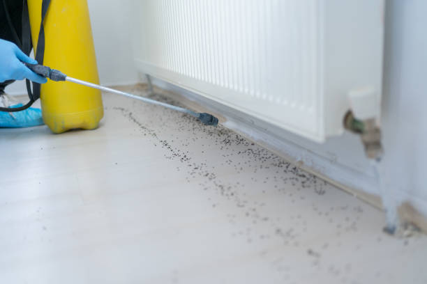 Best Mosquito Control Services  in Canton, GA